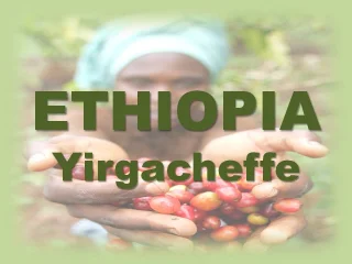 Специално кафе Ethiopia Yirgacheffe Asefa- сурово - 1 кг