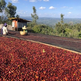 Специално кафе Ethiopia Asefa Dukamo