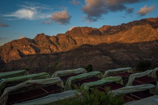 Спешълти кафе Yemen Ans women farmers 100 гр лимитирана серия